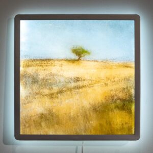 Paysage à l'arbre 1/10 - rétroéclairage - 30 x 30 cm