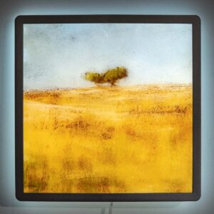 Paysage 2 arbres 1/10 - rétroéclairage - 30 x 30 cm